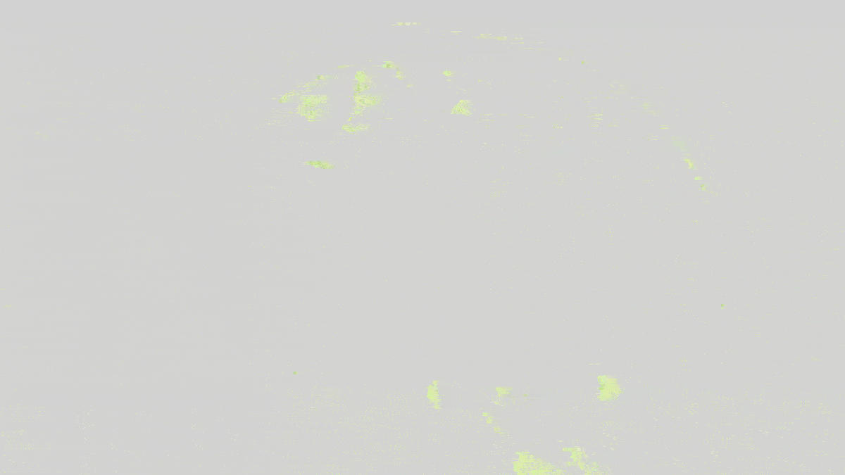 Building a humanity catalyst